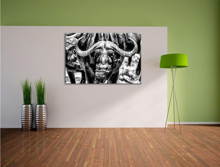Pixxprint Monocrome, Wasserbüffel Schwarz/weiss, Format: 100x70 auf Leinwand, 100x70