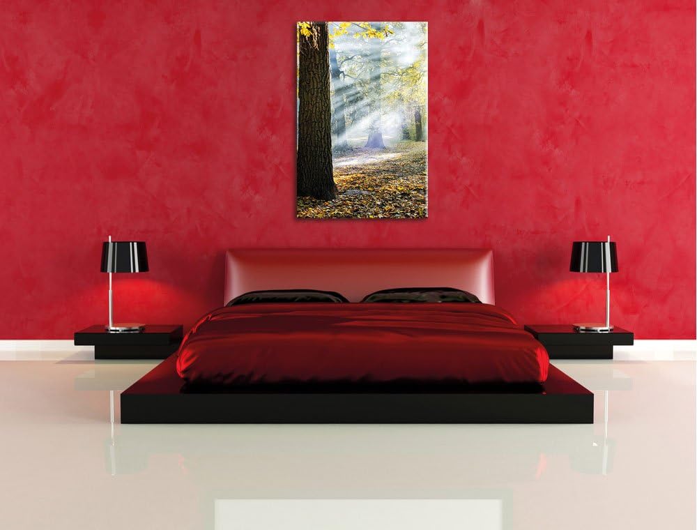 Sonnenstrahlen im Wald, Format: 100x70 auf Leinwand, XXL riesige Bilder fertig gerahmt mit Keilrahme