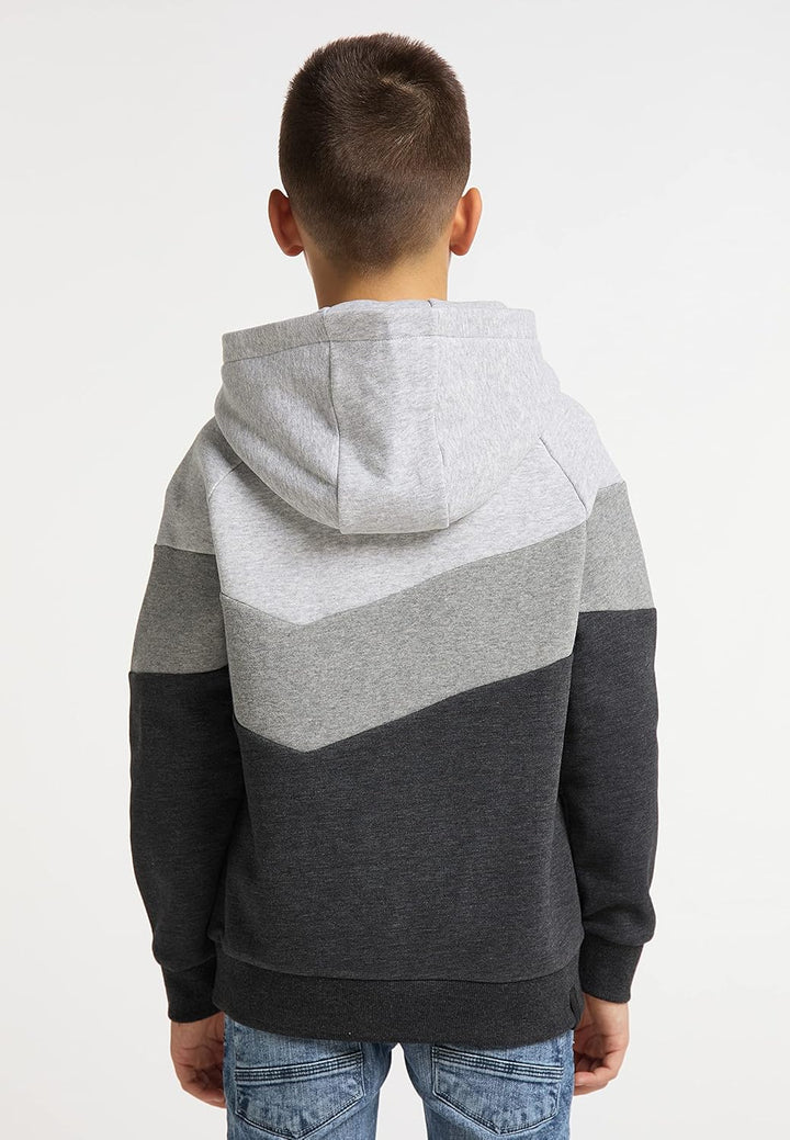 Ragwear Jungen Kinder Sweatshirt VENDELIN Sweater mit Kapuze, Kapuzenpullover in Color-Blocking Desi