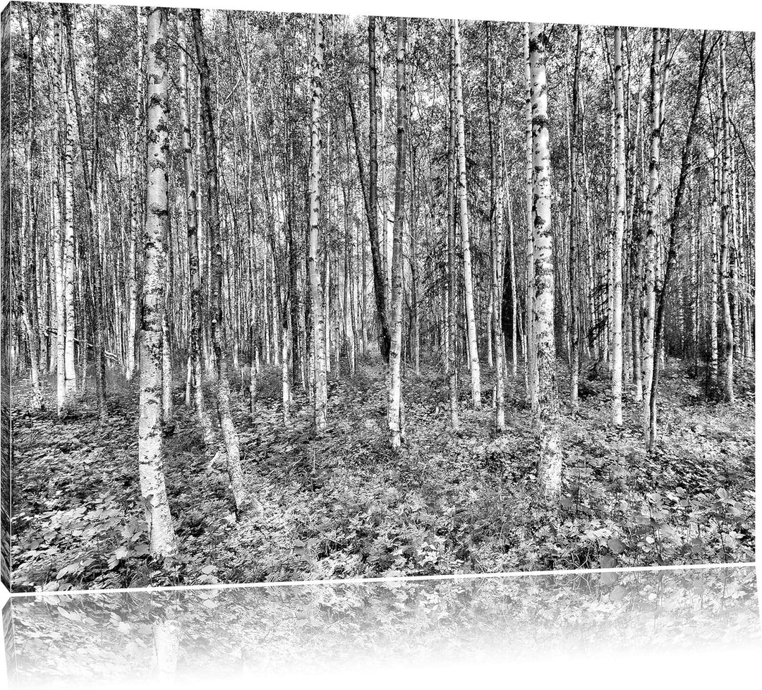 Monocrome, Birkenwald, Format: 100x70 auf Leinwand, XXL riesige Bilder fertig gerahmt mit Keilrahmen