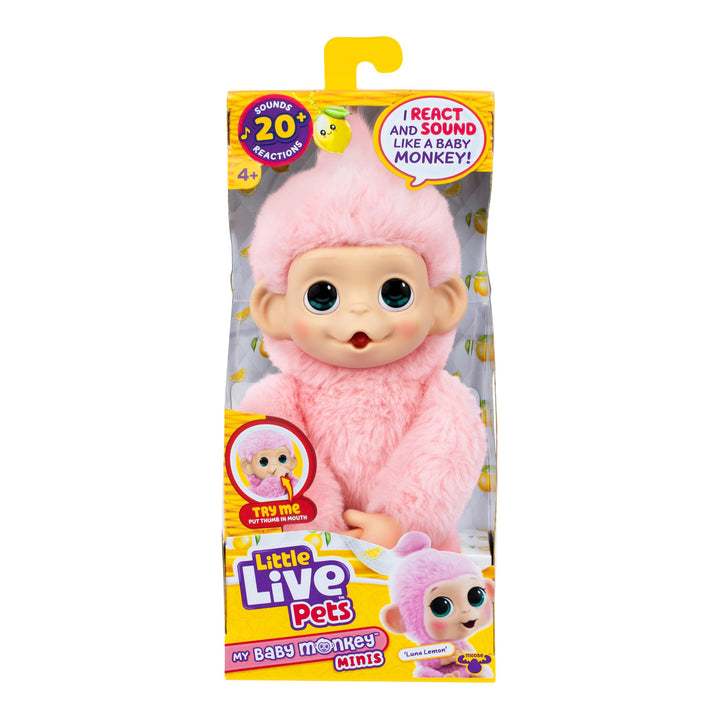 Little Live Pets Baby Monkey Minis – interaktiver Plüschaffe Luna Lemon mit über 20 realistischen Ge