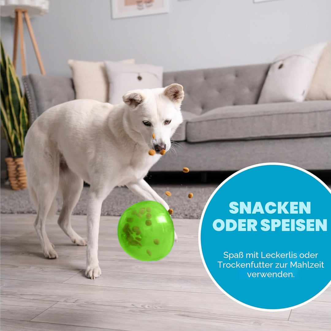 Outward Hound Planet Dog Hunde-Spielzeug, Orbee-Tuff Snoop, interaktives Leckerli verteilendes Spiel