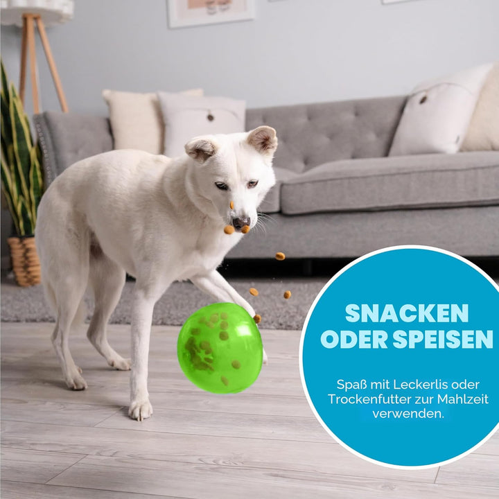 Outward Hound Planet Dog Hunde-Spielzeug, Orbee-Tuff Snoop, interaktives Leckerli verteilendes Spiel