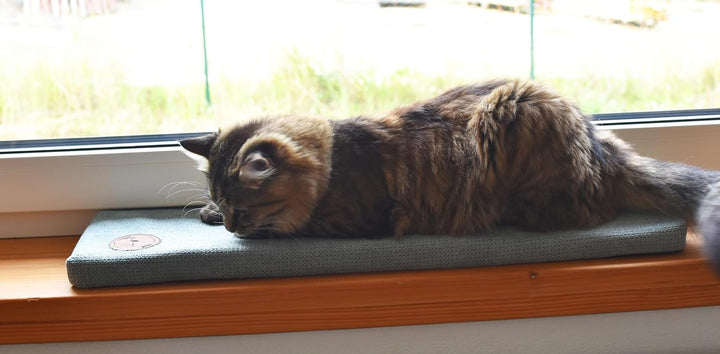 Prime Katzen Fensterliege Für Katzen, Fensterbank mit Einer Rutschfesten Rückseite, Katzenbett Fenst