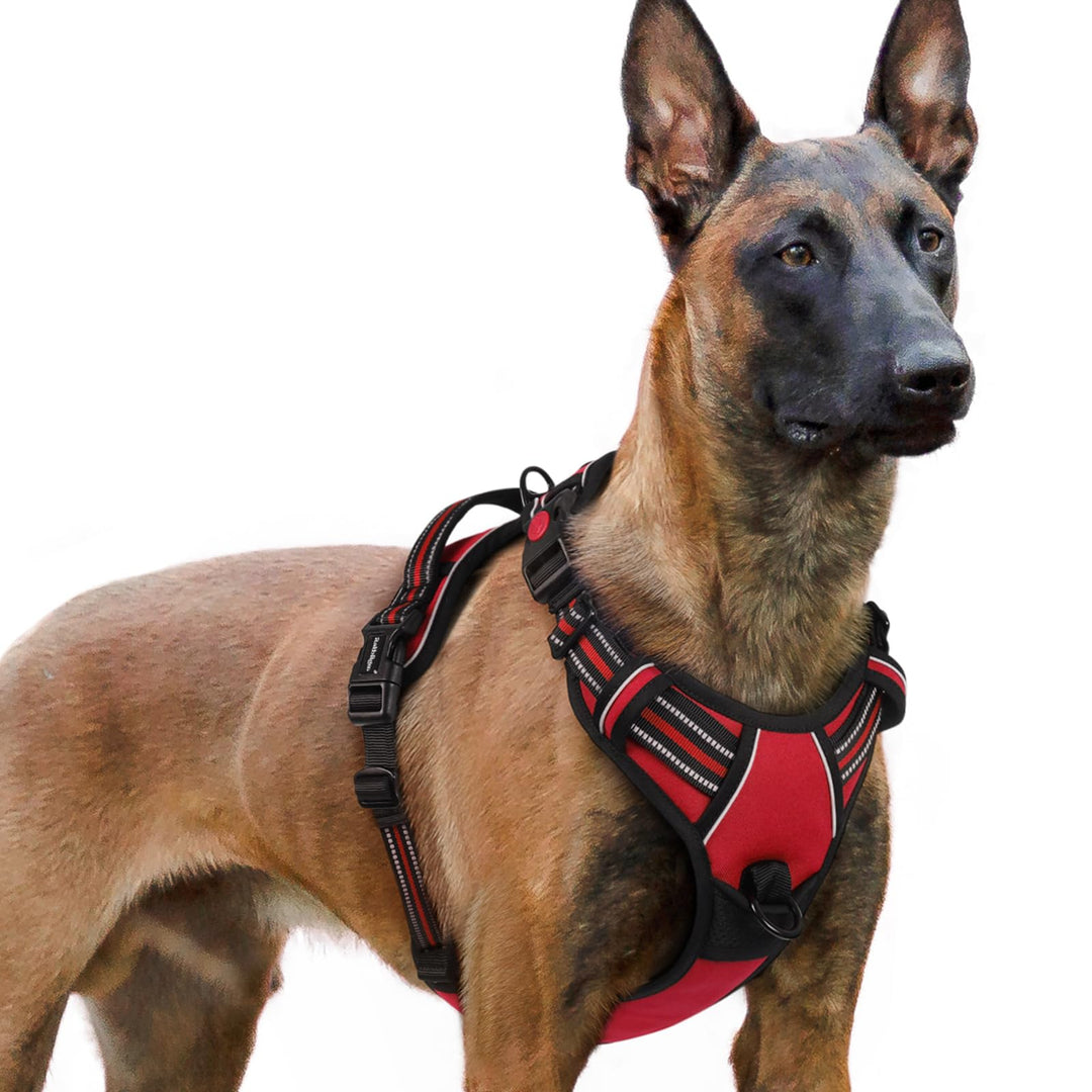 rabbitgoo Hundegeschirr Grosse Hunde, Verstellbare Geschirr Hund ohne Zug & Würgen, Anti Zug Hundege