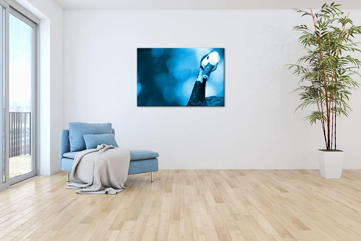 lustige Gans in der Natur Format 80x60 Effekt: Monocrome Blau als Leinwandbild, Motiv fertig gerahmt