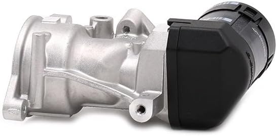 Delphi EG10395-12B1 Agr-Ventil