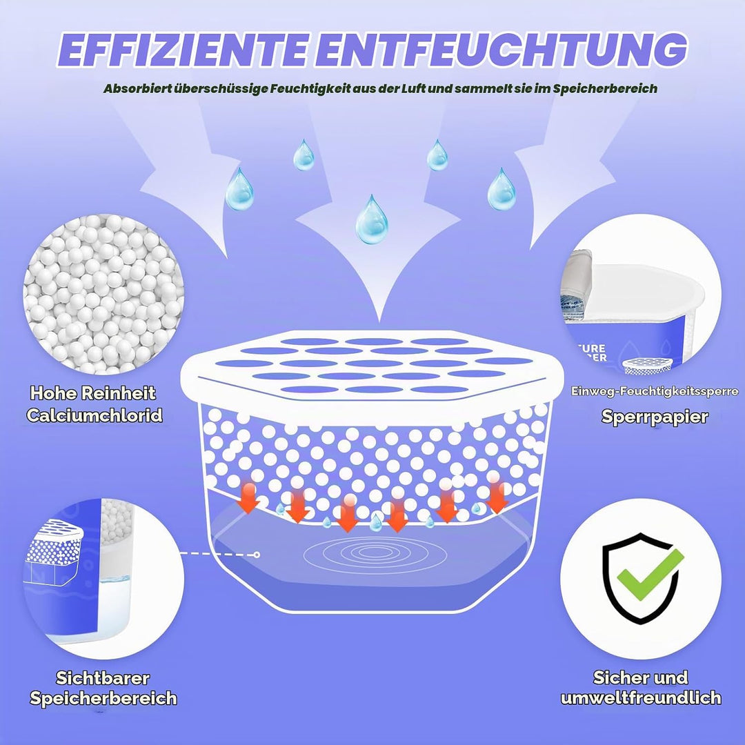 CLEVAST 6x Luftentfeuchter Box, Feuchtigkeitsentferner Absorber, Raumentfeuchter für Küche, Bad &amp; Wo