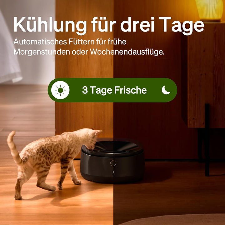 PETLIBRO Futterautomat Katze Nassfutter mit Spülmaschinengeeigneter Edelstahlnapf, Nassfutterautomat