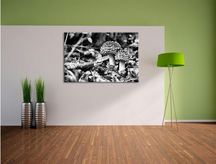 Monocrome, Pilz im Wald, Format: 100x70 auf Leinwand, XXL riesige Bilder fertig gerahmt mit Keilrahm