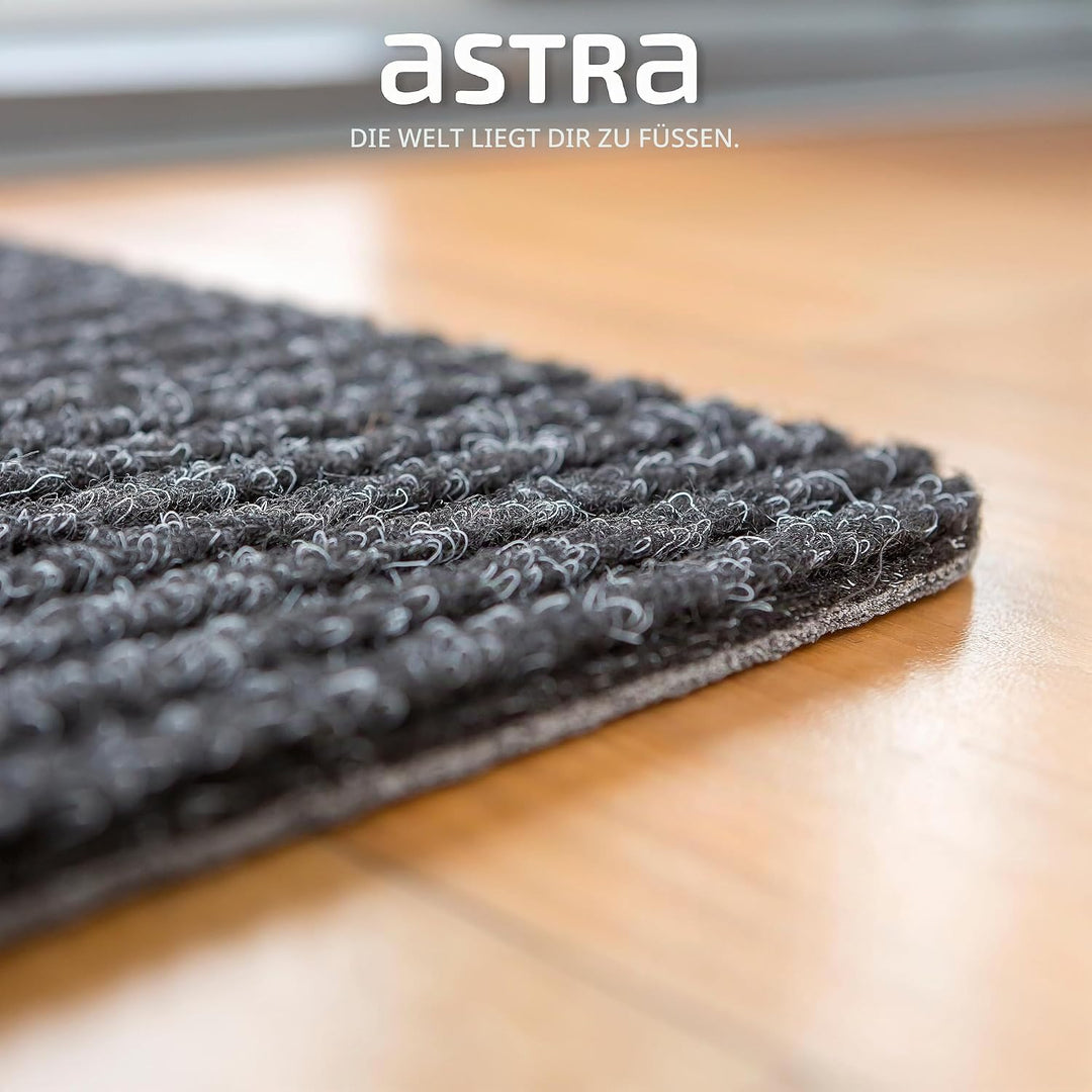 Astra Fussmatte innen anthrazit Schmutzfangmatte rutschfest – Türmatte 40x60 cm wasserabweisend – Ri