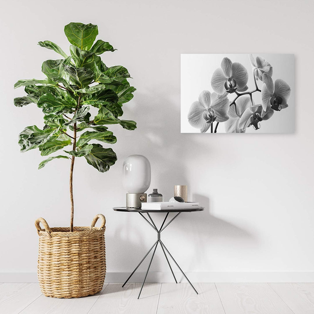 Feeby Leinwandbild Orchideen Bild Kunstdruck für Schlafzimmer Grau 70x50 cm Leinwandbild 70x50 cm Gr