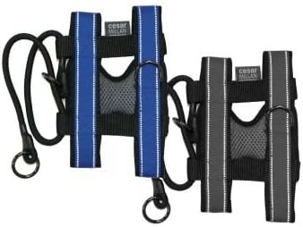 Cesar Millan Pack Leader Collar - Trainingshalsband des Hundeflüsterers S Blau, S Blau