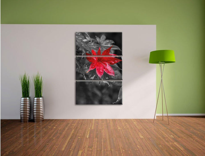 Pixxprint Herbstliches rotes Ahornblatt als Leinwandbild/Grösse: 3 Teilig (120x80) cm/Wandbild/Kunst