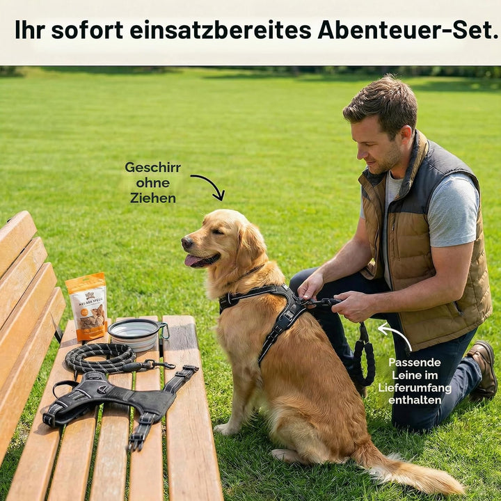 Hundegeschirr mit Griff， mittelgrosse &amp; Grosse Hunde - Hunde Geschirr，Atmungsaktiv Reflexstreifen Br