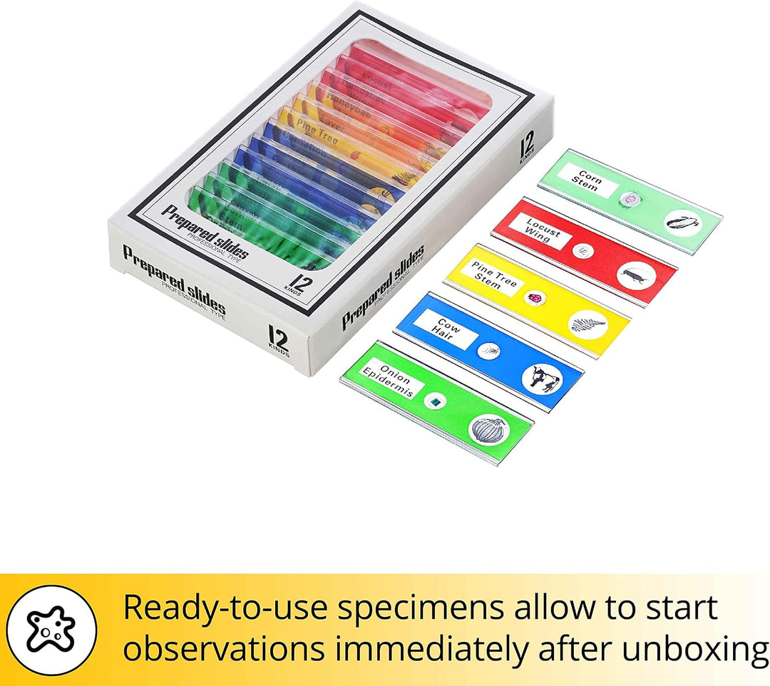 Levenhuk Rainbow DM500 LCD STEM Digitales Mikroskop für Kinder 7-200x Zoom