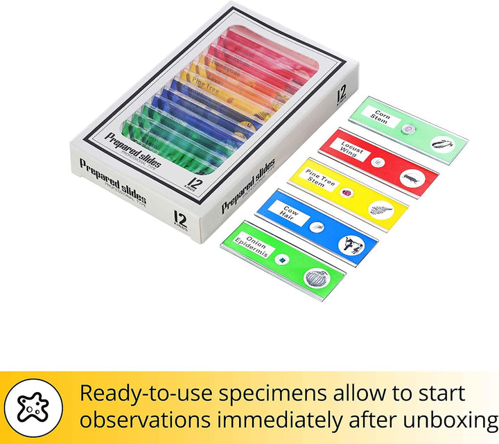 Levenhuk Rainbow DM500 LCD STEM Digitales Mikroskop für Kinder 7-200x Zoom