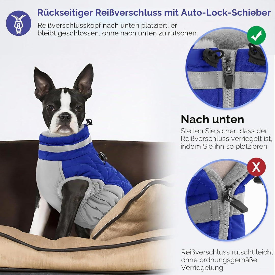 AOFITEE Hundejacke Kleine Hunde, Wasserdicht Hunde Wintermantel Warm Hundemantel mit Geschirr, Rollk