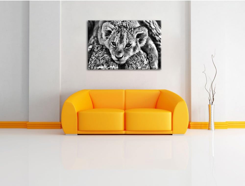 Pixxprint Süsses Tigerbaby / 100x70cm Leinwandbild bespannt auf Holzrahmen/Wandbild Kunstdruck Dekor