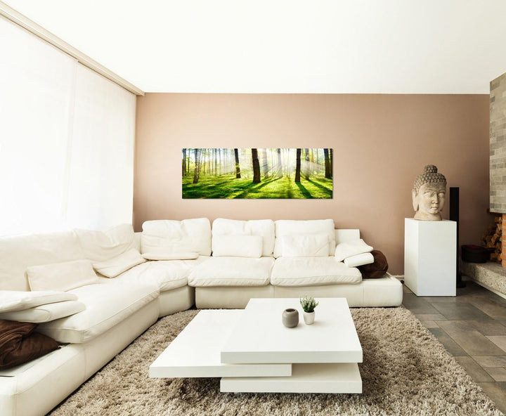 Paul Sinus Art Panoramabild auf Leinwand und Keilrahmen 120x40cm Wald Bäume Frühling Sonnenstrahlen