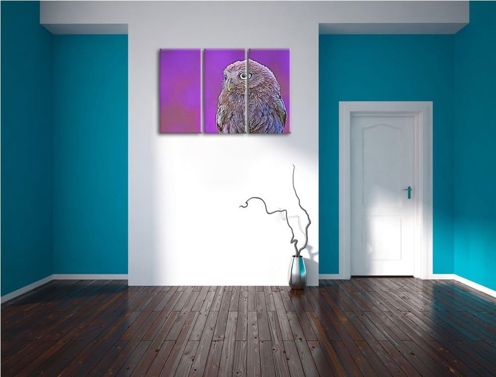 schöne junge Eule NewArt 3-Teiler Leinwandbild 120x80 Bild auf Leinwand, XXL riesige Bilder fertig g