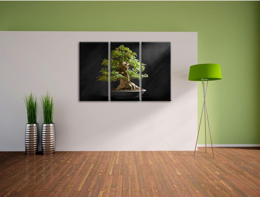 Pixxprint Kleiner Bonsaibaum / 3-Teilig/Gesamtmass 120cm Leinwandbild bespannt auf Holzrahmen/Wandbi