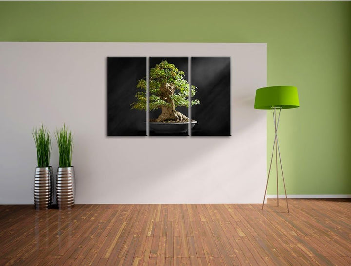 Pixxprint Kleiner Bonsaibaum / 3-Teilig/Gesamtmass 120cm Leinwandbild bespannt auf Holzrahmen/Wandbi