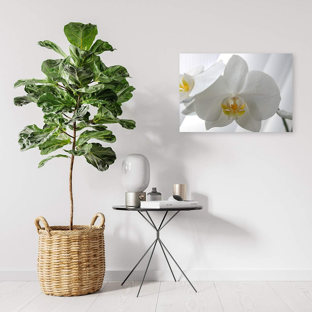 Wanddeko Orchidee Kunst modern Bilder Pflanze Weiss 100x70 cm Deko Paneel 100x70 cm Weiss_e, Deko Pa