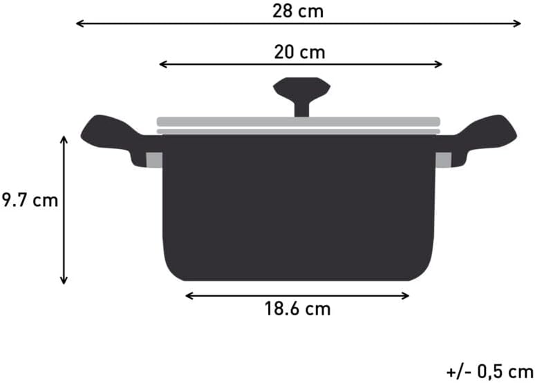 Tefal DUETTO+ G7194455 saucepan Round Stainless steel Grösse: 20 cm, Grösse: 20 cm