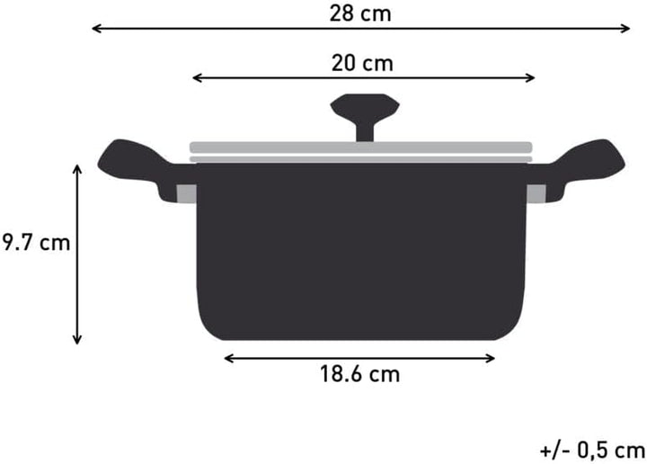 Tefal DUETTO+ G7194455 saucepan Round Stainless steel Grösse: 20 cm, Grösse: 20 cm