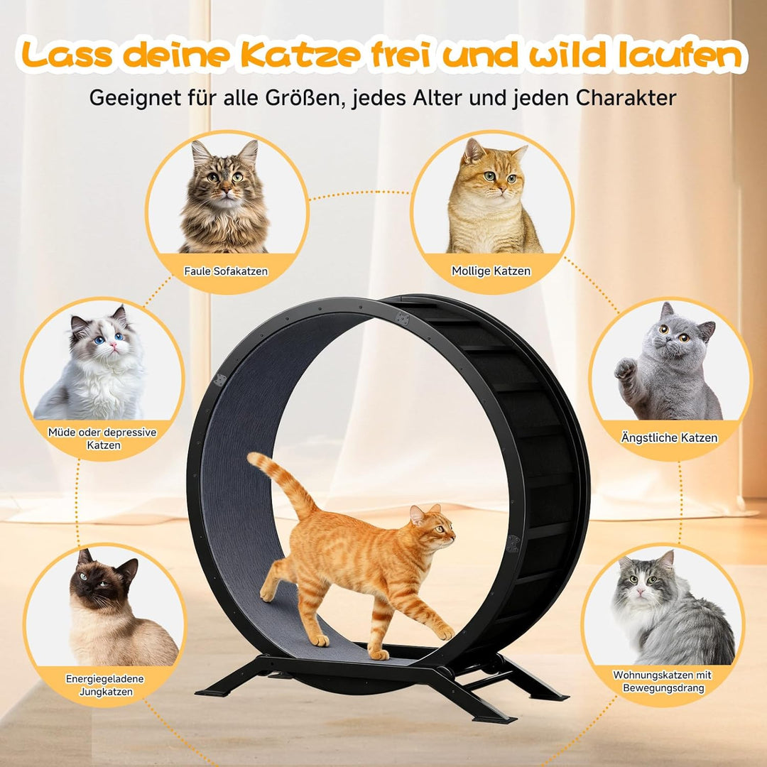 GTPLAYER Katzenlaufrad, laufrad Katze, Extra grosser 100 cm, ultraleises Laufrad mit Abnehmbarer Tep