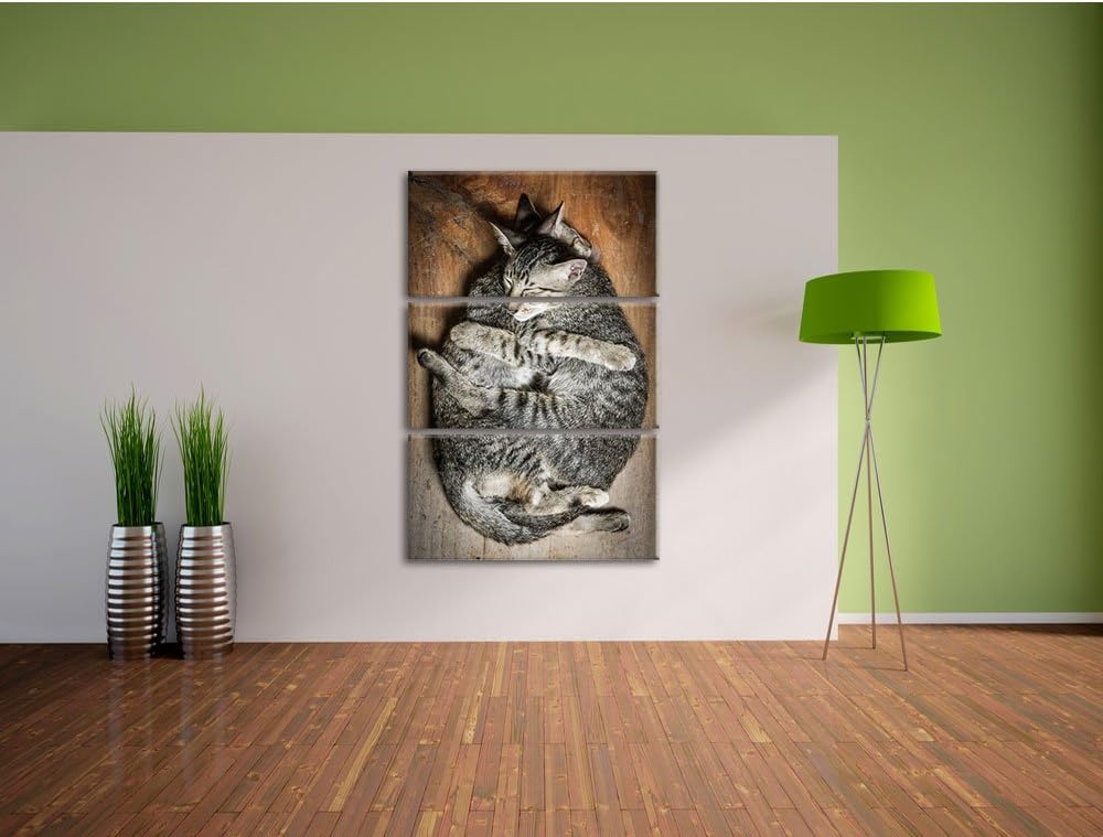 Pixxprint Kuschelnde Katzen 3-Teiler Leinwandbild 120x80 Bild auf Leinwand