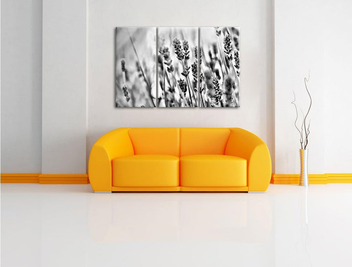 Pixxprint Monocrome, Lavendel im Retro Look 3-Teiler Leinwandbild 120x80 Bild auf Leinwand