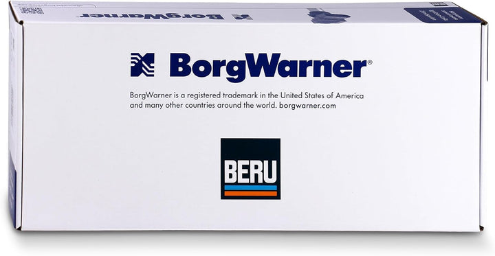 Beru AG 0040100338 Zündspule
