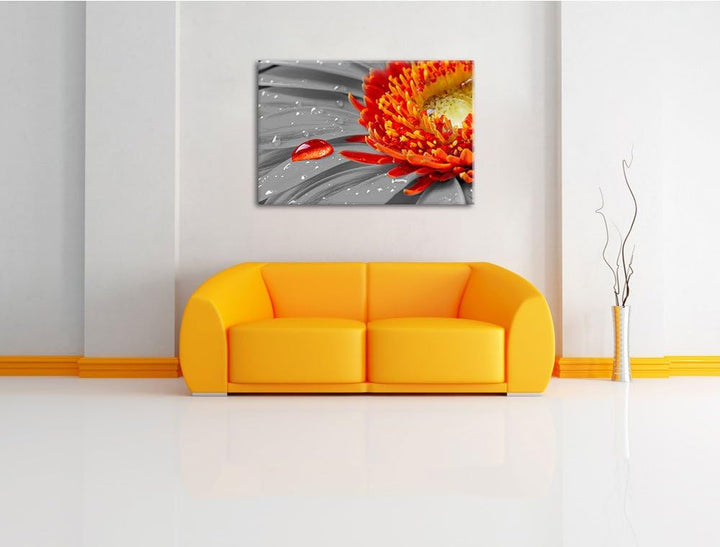 Wassertropfen auf Gerbera schwarz/weiss Format: 100x70 auf Leinwand, XXL riesige Bilder fertig gerah