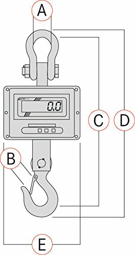 Industrie-Kranwaage [Kern HFM 1T0.1] mit Funk-Fernbedienung, Wägebereich [Max]: 1000 kg, Ablesbarkei