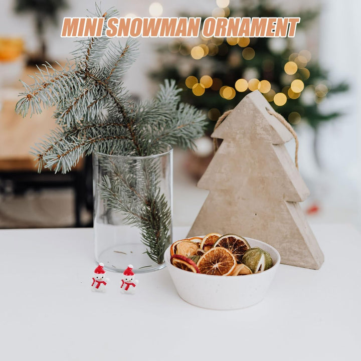 Gadpiparty 10pcs Kleine Figuren FüR Schneekugel, Mini Weihnachtsfiguren, DIY Dekoration Mikro-Landsc
