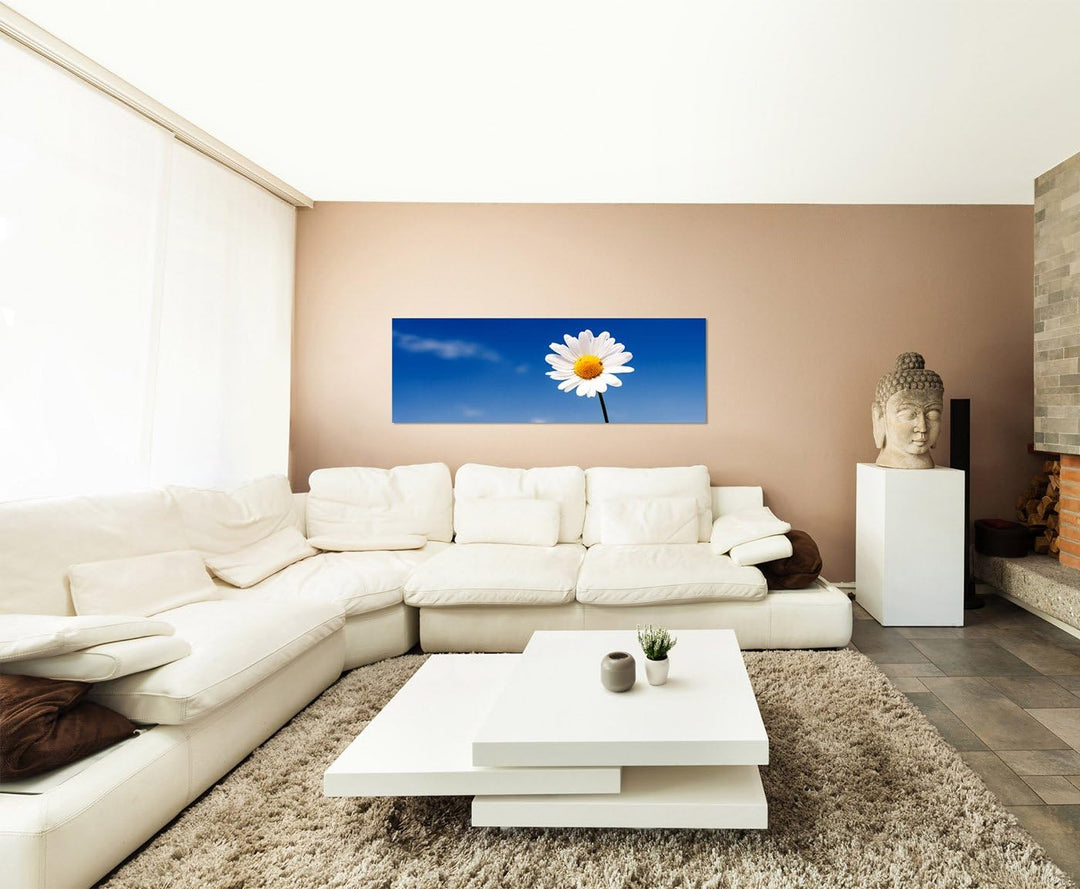 Paul Sinus Art Panoramabild auf Leinwand und Keilrahmen 150x50cm Gänseblümchen Sommer Himmel