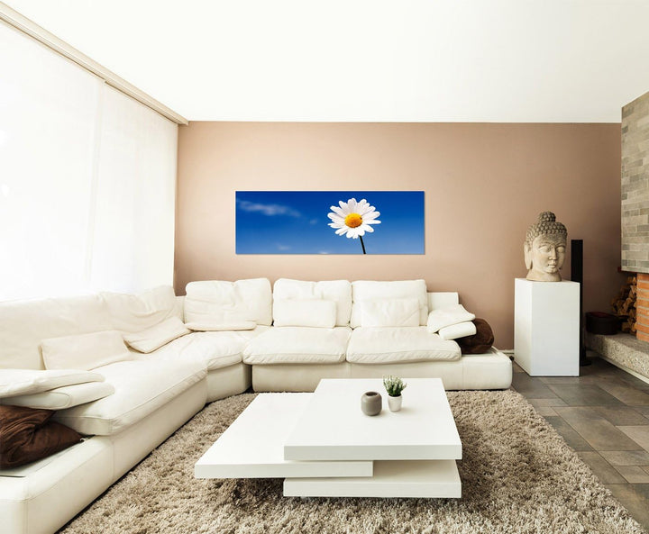 Paul Sinus Art Panoramabild auf Leinwand und Keilrahmen 150x50cm Gänseblümchen Sommer Himmel