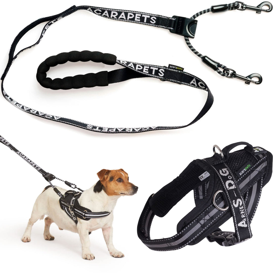 ACARAPETS Hundegeschirr und Leine, 3 Ringe, gepolstert und atmungsaktiv, mit elastischer Bifida-Lein