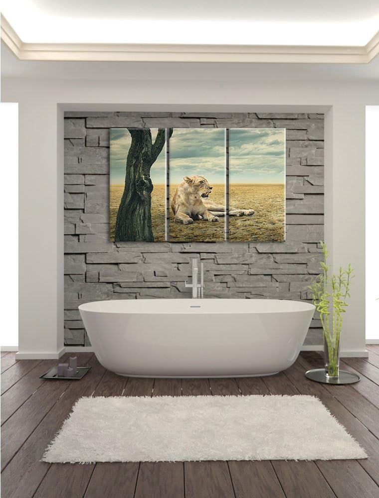 Pixxprint Löwin Ruhe Savanne 3-Teiler Leinwandbild 120x80 Bild auf Leinwand