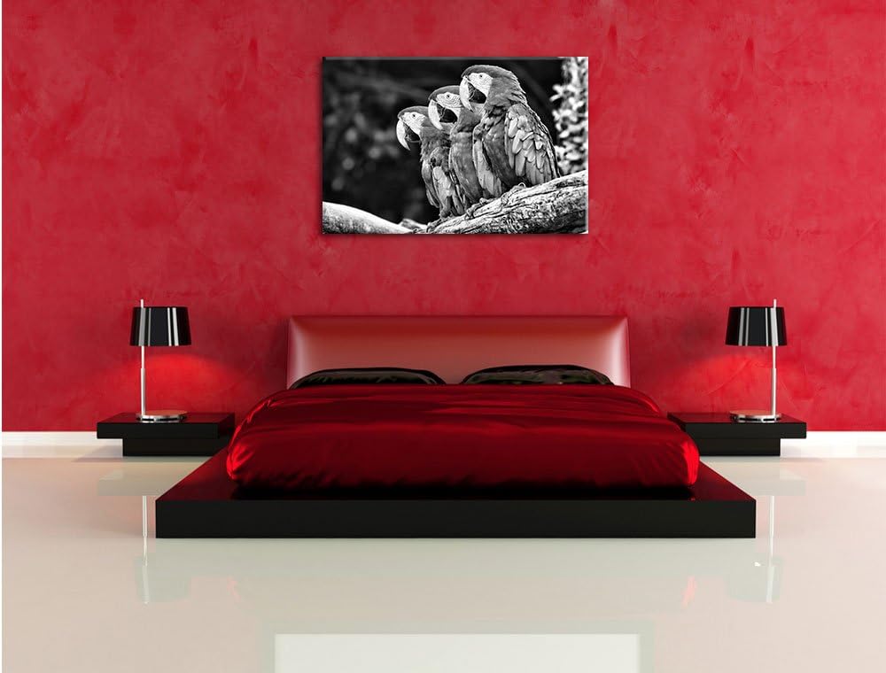 Papageien auf AST als Leinwandbild/Grösse: 100x70 cm/Wandbild/Kunstdruck/fertig bespannt, 100x70