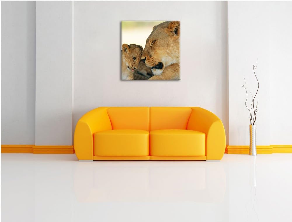 Pixxprint Löwenmutter schmusend mit Junges, Format: 70x70 auf Leinwand, 70x70
