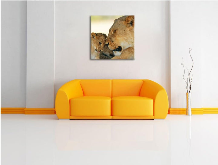 Pixxprint Löwenmutter schmusend mit Junges, Format: 70x70 auf Leinwand, 70x70