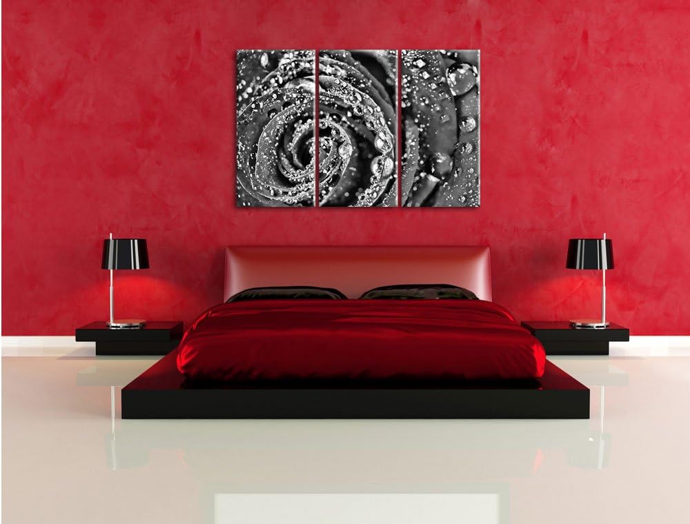 Pixxprint Monocrome, Elegante rote Rose mit Wassertropfen 3-Teiler Leinwandbild 120x80 Bild auf Lein