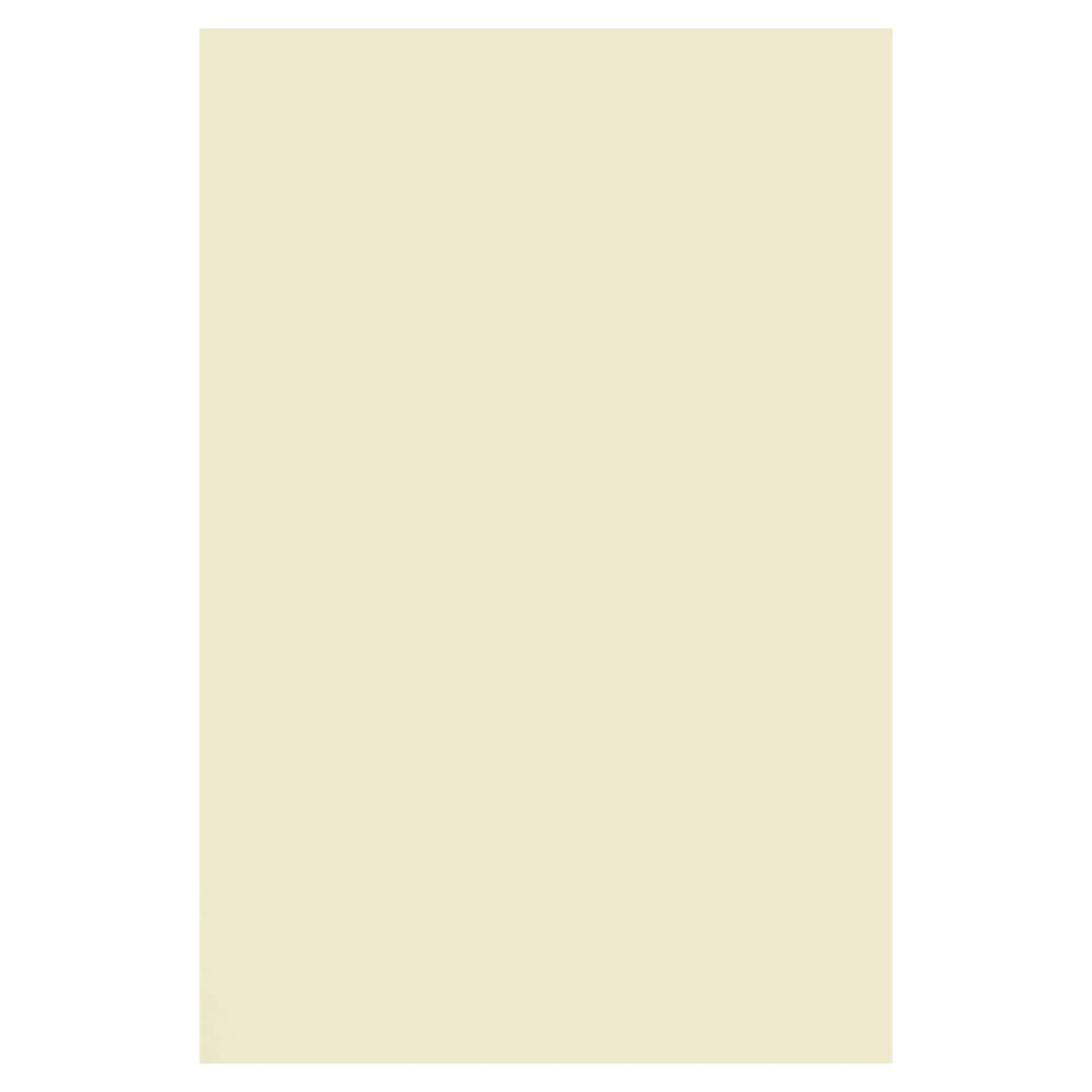 Netuno 1000x Bastelkarton Elfenbein DIN A4 210 x 297 mm 250g Arena Smooth Ivory Ecru Naturkarton Kar