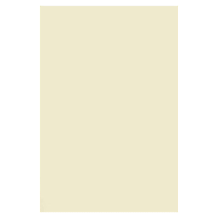Netuno 1000x Bastelkarton Elfenbein DIN A4 210 x 297 mm 250g Arena Smooth Ivory Ecru Naturkarton Kar