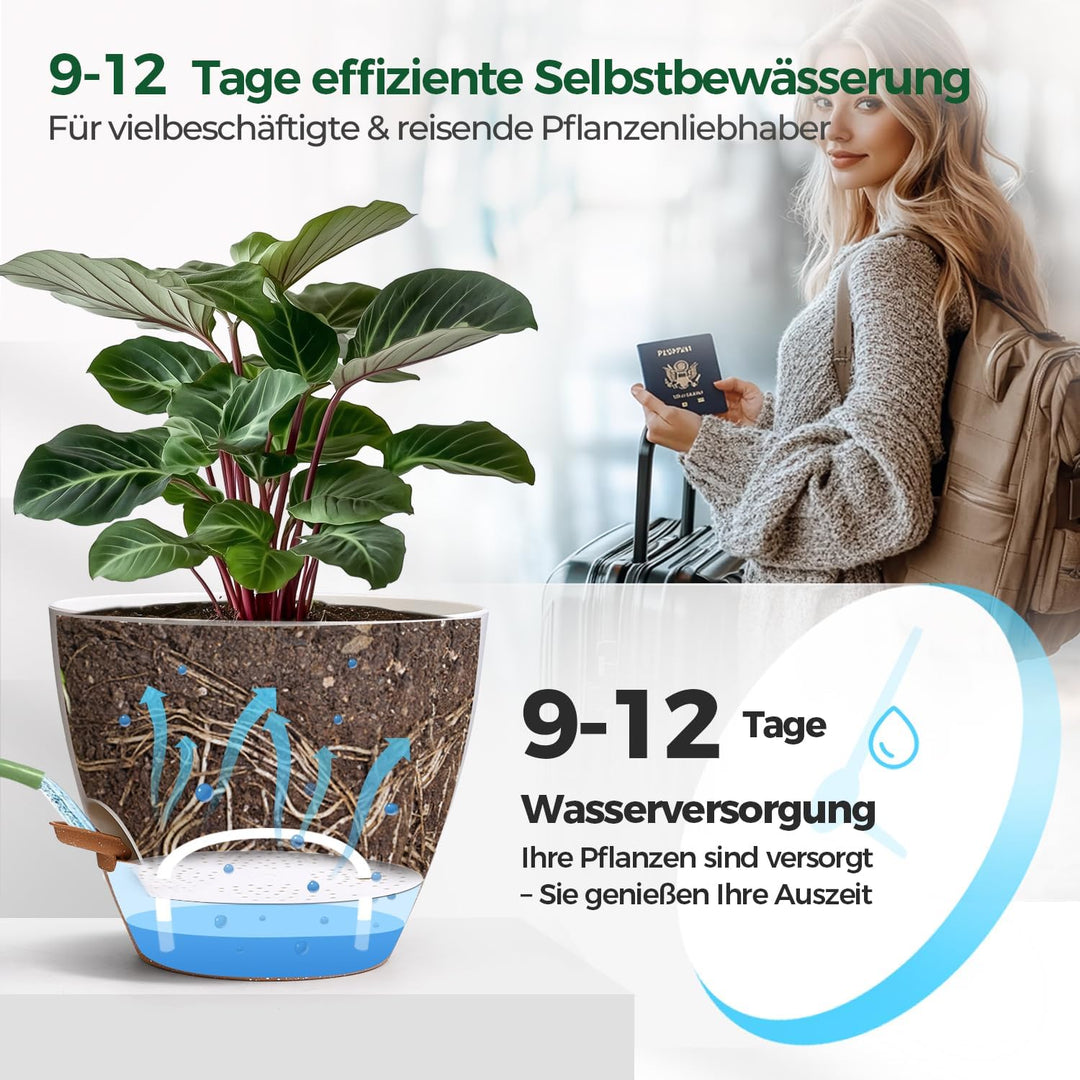 T4U 2er Set 25cm Selbstbewässernder Blumentopf mit Wasserstandsanzeige, ideal für Geigenfeige & Mons