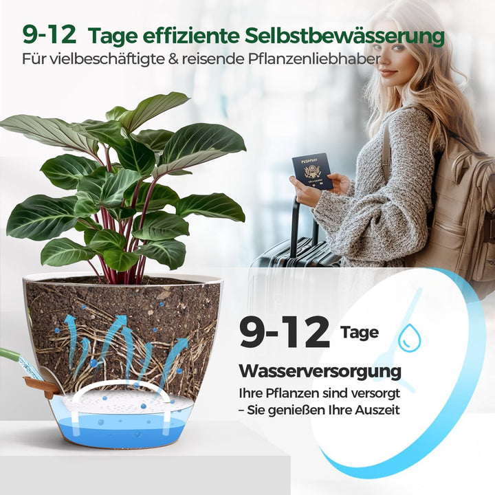 T4U 2er Set 25cm Selbstbewässernder Blumentopf mit Wasserstandsanzeige, ideal für Geigenfeige & Mons