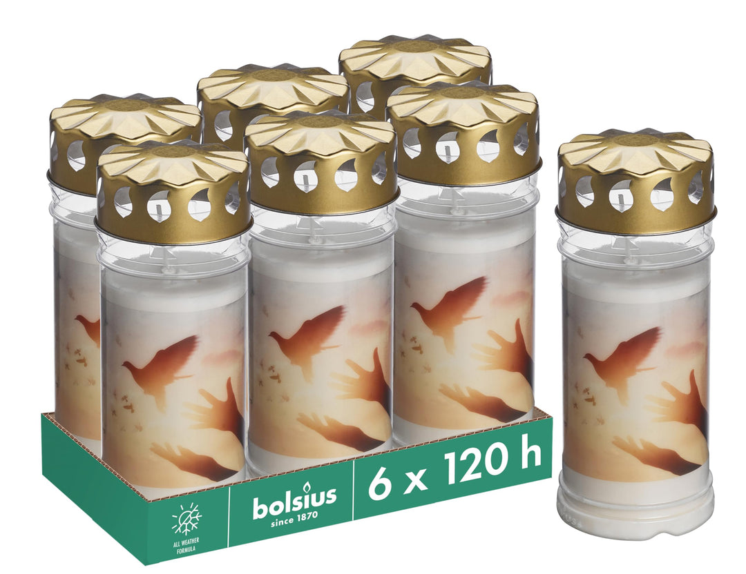 Bolsius Grablicht - Weiss - Set 6 Stück - Länge Brenndauer 120 Stunden - Trauerkerze & Gedenkstätte